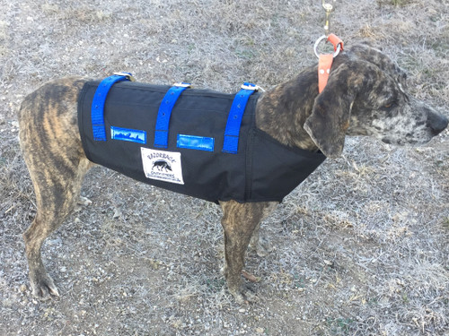 Hog Dog Catch Vest with Blue Straps