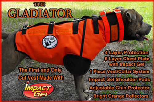 Hog Dog Gladiator Protective Catch Vest on Dog