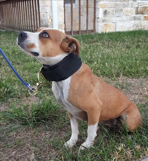 3.25" - 3.5" Cut Collar