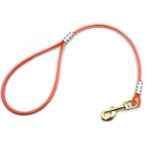 Short, strong cable dog lead.