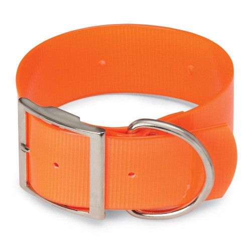 Wide Orange Dog Collar