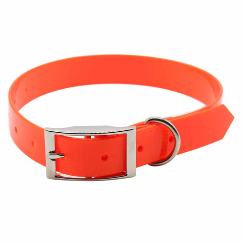 Narrow Orange Dog Collar