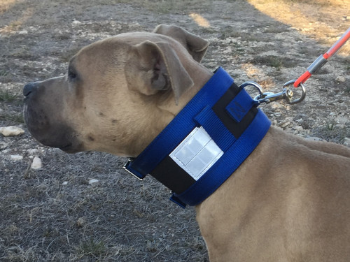 Basic Hog Dog Cut Collar