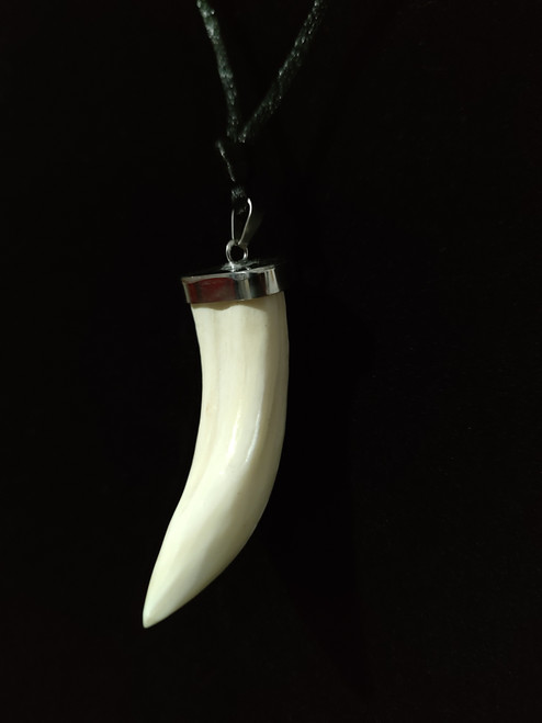 Large Hog Tusk Necklace